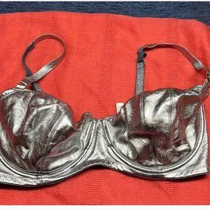 Victoria Secret Dream Angels Push Up Silver Metallic Bra Sz 36DDD